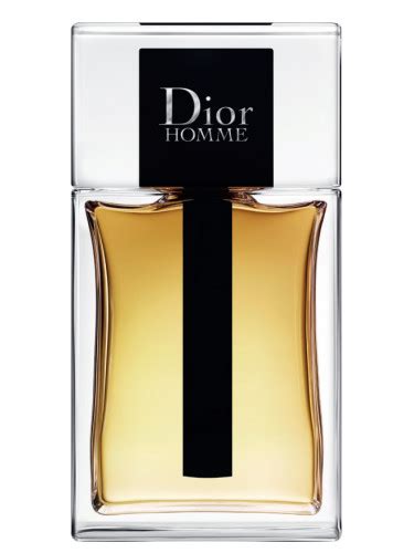 collection dior homme 2019|dior homme original vs 2020.